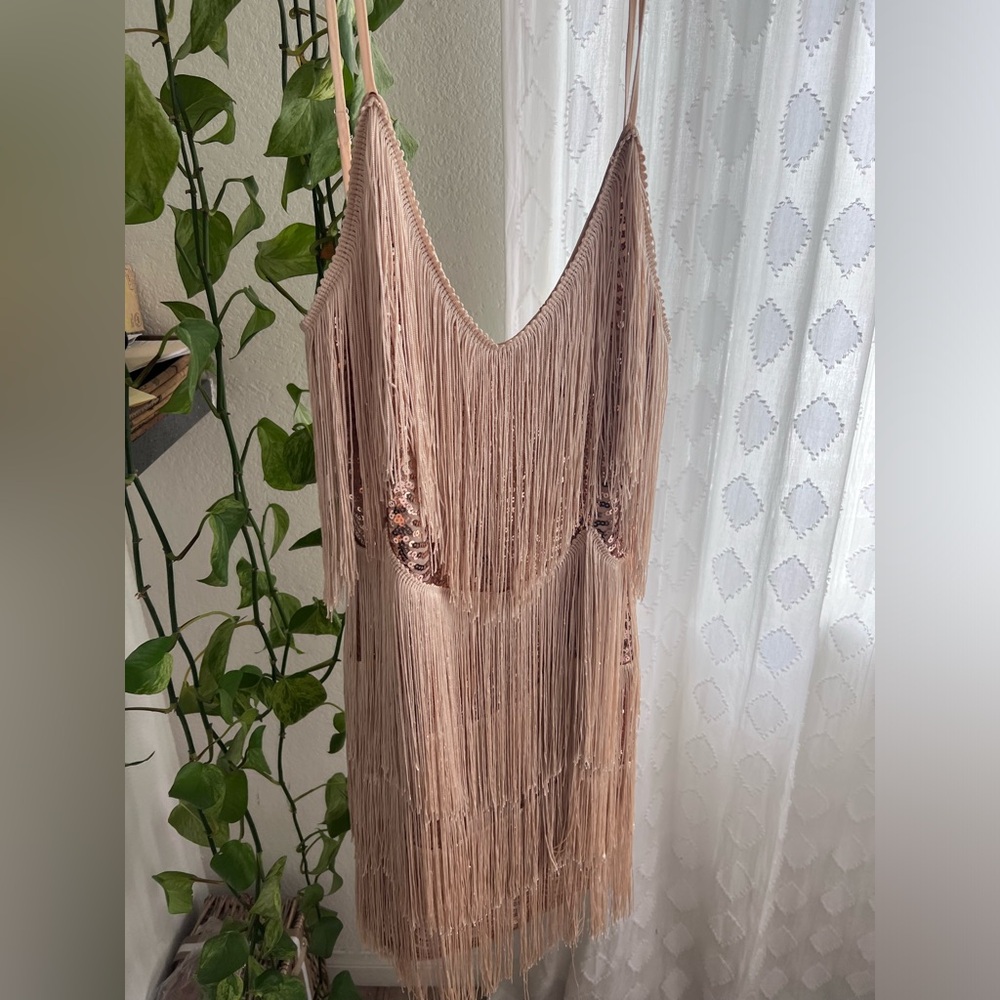 Gold fringe dress.
